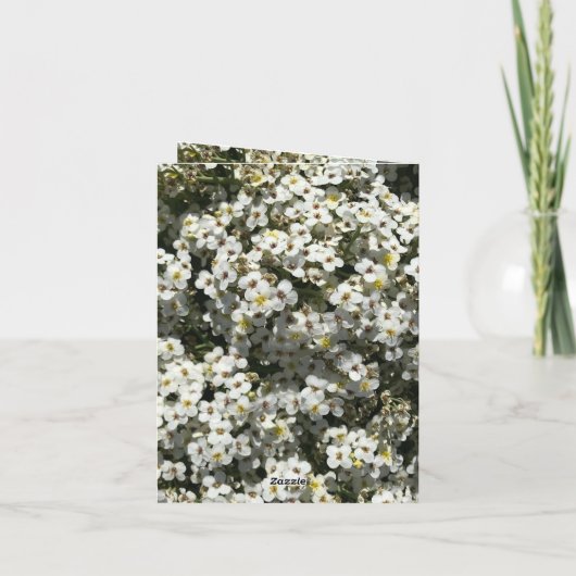 66. Jahrestag Karte (Rückseite)