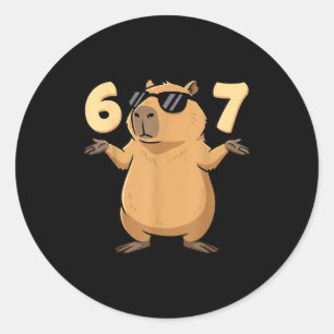 67 Capybara Meme 6 7 Ästhetik Für Kinder Junge Erw Runder Aufkleber