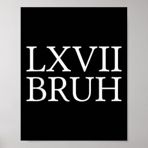 67 Geschichte Meme Six Seven Bruh Lustiger Geschic Poster