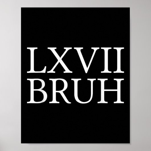 67 Geschichte Meme Six Seven Bruh Lustiger Geschic Poster (Vorne)