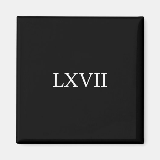 67 Geschichte Meme Six Seven Historiker Lustige Ge Magnet (Vorne)