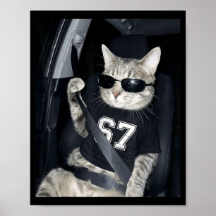 67 Katze trägt Sungles Gen Alpha Lustig Sechs Sieb Poster