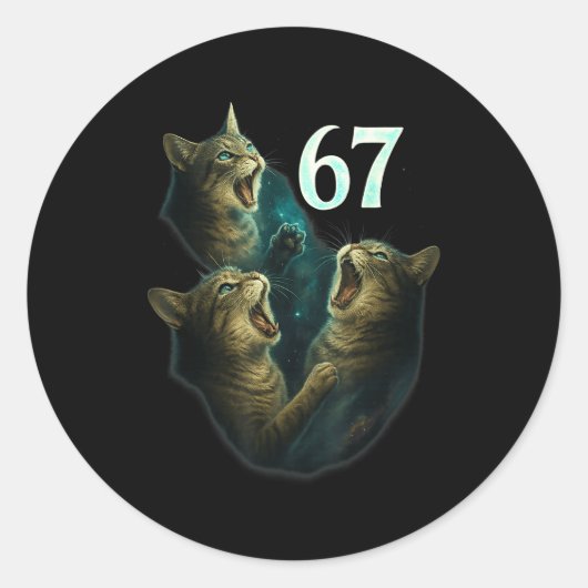 67 Meme Cat Howling At 67 Funny 6 7 Runder Aufkleber (Vorderseite)
