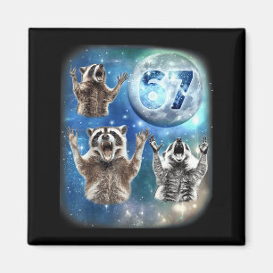 67 Meme Drei Waschbären heulen am Mond 67 Magnet