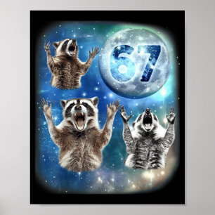 67 Meme Drei Waschbären heulen am Mond 67 Poster
