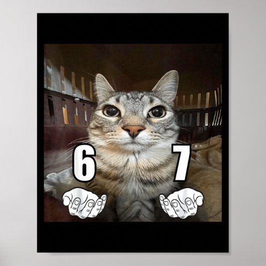 67 Meme Lustige Katze Sechs Sieben Meme 6 7 Poster (Vorne)