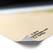 "69 CHEVELLE POSTER (Ecke)