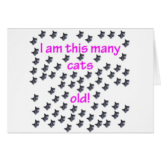 69 Katzen-Köpfe alt