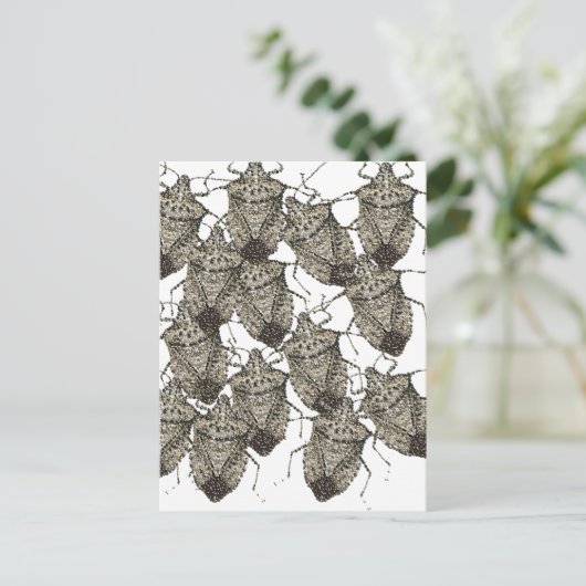 6-07-14 stinkende Fehler rev.png Postkarte (Stehend Vorderseite)