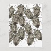 6-07-14 stinkende Fehler rev.png Postkarte (Vorderseite)