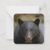 6,4 cm x 6,4 cm flache Note Karte (Vorderseite)