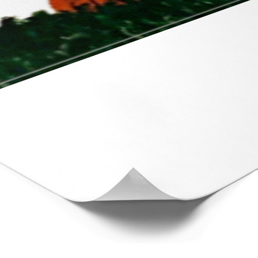 6 7 Dachshund in funny clothes  Poster (Ecke)