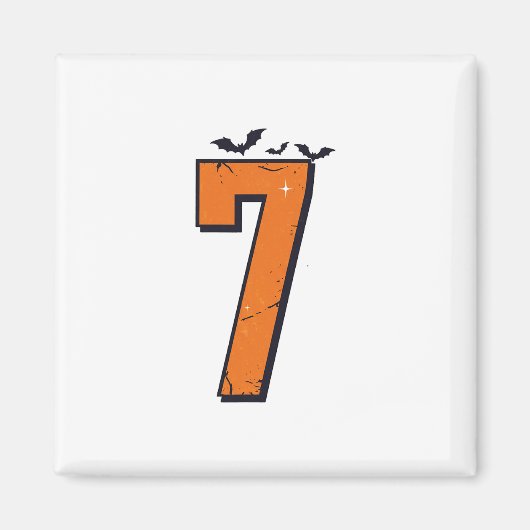 6 7 Six Seven Meme Paarmatching-Halloween-Kostüm Magnet (Vorne)