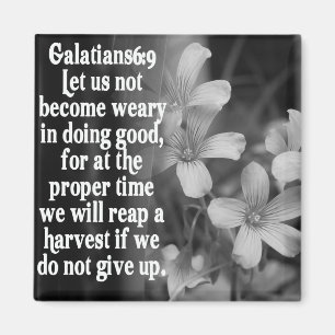 6:9 DER BIBEL-SCHRIFT GALATIANS MAGNET