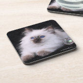 6 Balineseharte PlastikUntersetzer mit Getränkeuntersetzer (Linke Seite)