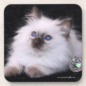 6 Balineseharte PlastikUntersetzer mit Getränkeuntersetzer (Vorderseite)