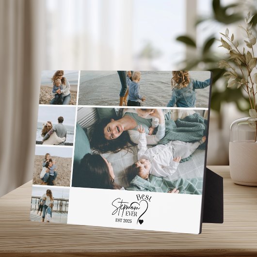 6 Beste Stiefmutter überhaupt Benutzerdefinierte F Fotoplatte