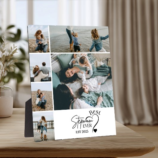 6 Beste Stiefmutter überhaupt Benutzerdefinierte F Fotoplatte