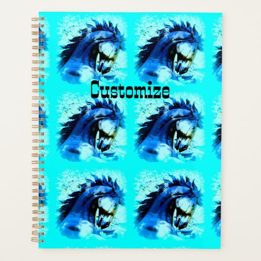 6 blue stallions Thunder_Cove Planer (Vorderseite)