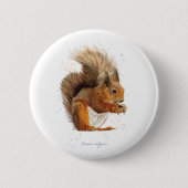 6 cm rundes Abzeichen mit dem Roten Eichhörnchen Button (Vorderseite)