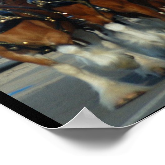 6 Druck der Pferdehalter Poster (Ecke)