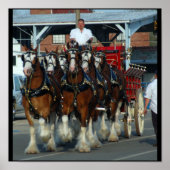 6 Druck der Pferdehalter Poster (Vorne)
