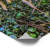 6 Druck, Poster (Halbschall) (Ecke)