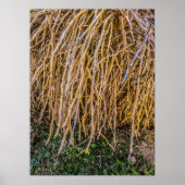 6 Druck, Poster (Halbschall) (Vorne)