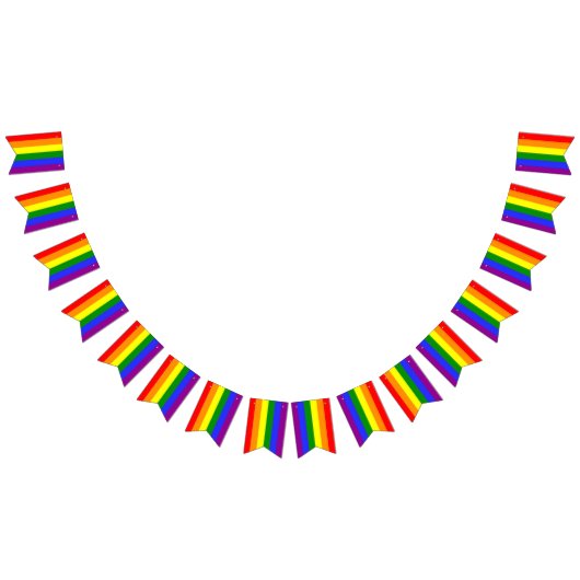 6-farbiges Flag-Banner-Banner LGBT-Party Wimpelkette (Alle)