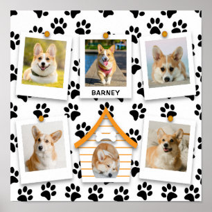 6 Foto-Collage Name Hundehaus Pfotenabdrücke Poste Poster