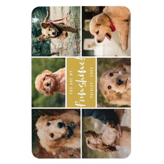 6 Foto Collage Sie sind mein Freund| Gold Magnet (Vertikal)