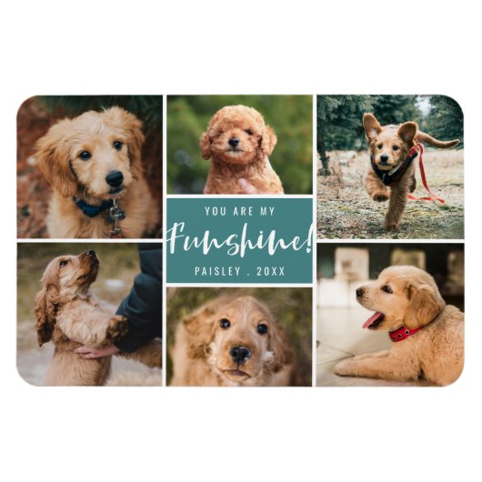 6 Foto von Collage You Are My Funshine | Teal Pet Magnet (Horizontal)