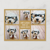 6 FotoCollage Minimalistisch - Gold und Weißgitter Postkarte (Vorderseite)