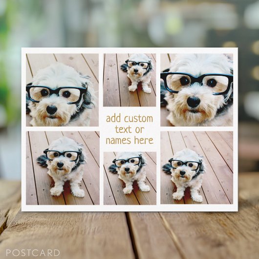 6 FotoCollage Minimalistisch - Gold und Weißgitter Postkarte