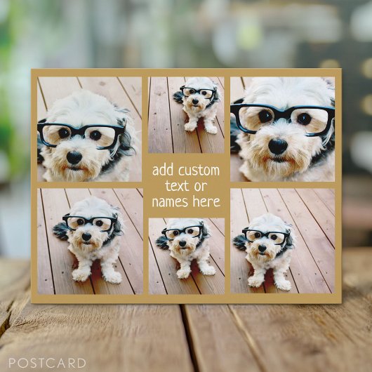 6 FotoCollage Minimalistisch - Gold und Weißgitter Postkarte