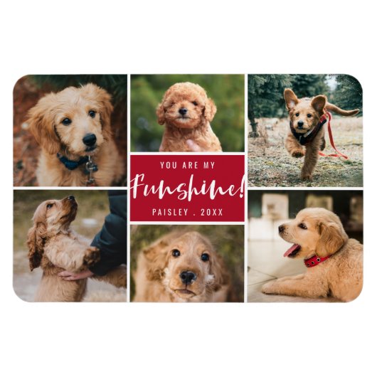 6 Fotocollage Sie sind mein Funshine | Roter Haust Magnet (Horizontal)