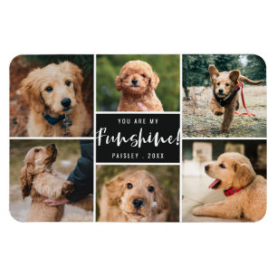 6 Fotocollage Sie sind mein Funshine Schwarzer H Magnet