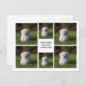 6 FotoCollage - Weißgitterästhetische, Minimal Postkarte (Vorne/Hinten)