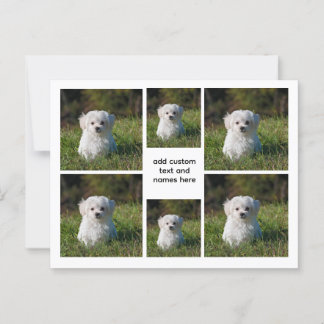 6 FotoCollage - Weißgitterästhetische, Minimal Postkarte