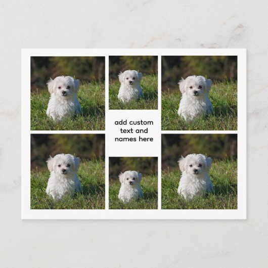 6 FotoCollage - Weißgitterästhetische, Minimal Postkarte (Vorderseite)