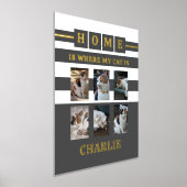 6 Fotos Name Tierliebhaber Katzen grau weiß Foliendrucke (Ablage )