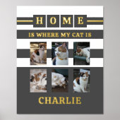 6 Fotos Name Tierliebhaber Katzen grau weiß Foliendrucke (Vorderseite)