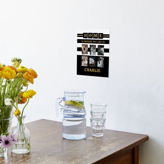 6 Fotos Name Tierliebhaber Katzen Schwarz-weiß Foliendrucke (Ablage(Küche))