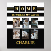 6 Fotos Name Tierliebhaber Katzen Schwarz-weiß Foliendrucke (Vorderseite)