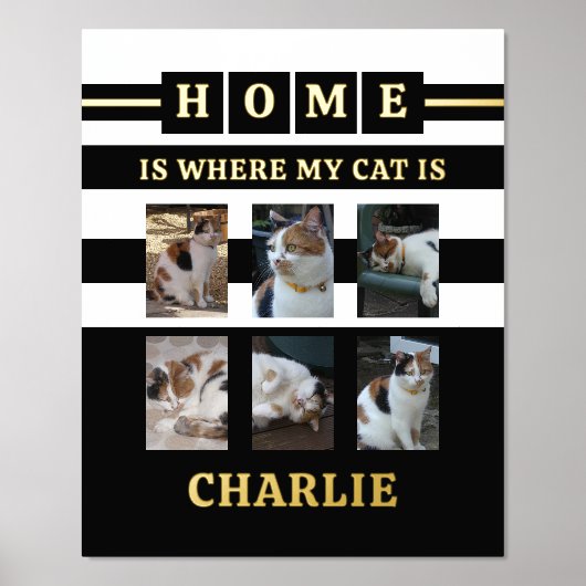 6 Fotos Name Tierliebhaber Katzen Schwarz-weiß Foliendrucke (Vorderseite)