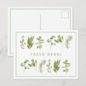 6 FRISCHE HERBS Postkarte (Vorne/Hinten)