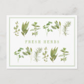 6 FRISCHE HERBS Postkarte (Vorderseite)