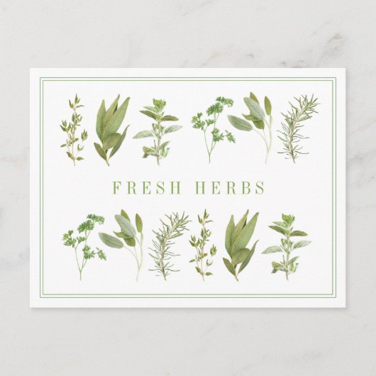 6 FRISCHE HERBS Postkarte (Vorderseite)