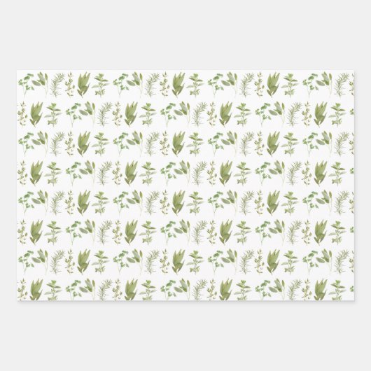 6 FRISCHES HERBS Flachpapier Geschenkpapier Set (Vorderseite)