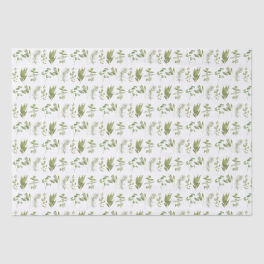 6 FRISCHES HERBS Tissue Paper II Seidenpapier (Vorderseite)